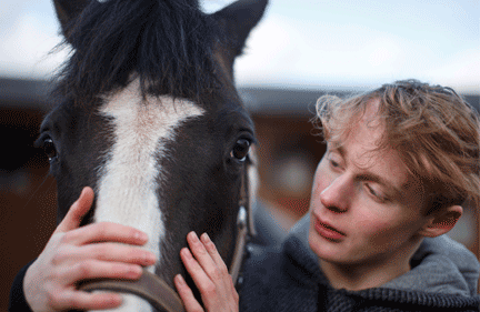 Design for ground-breaking study into equine welfare
